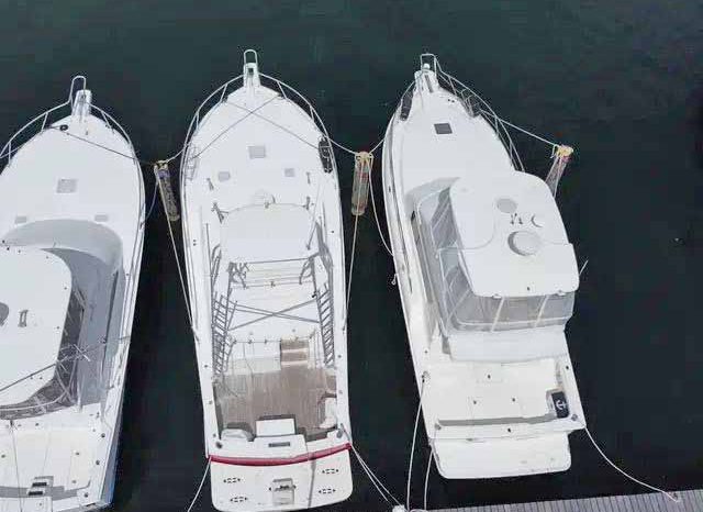 
								LUHRS OPEN 41 full									