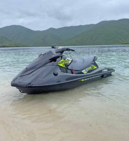 MOTO YAMAHA WAKE RUNNER VX