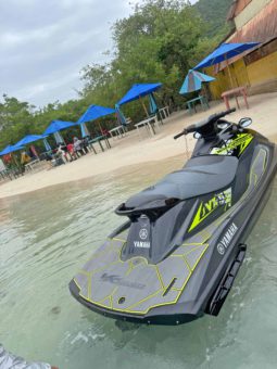 
										MOTO YAMAHA WAKE RUNNER VX full									