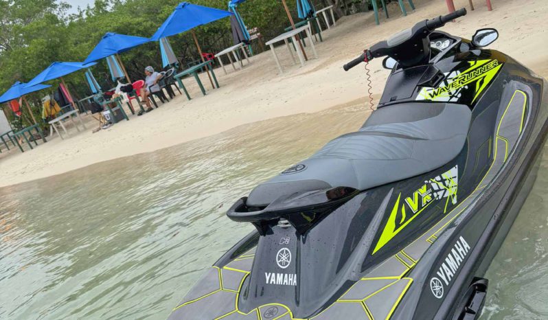 
								MOTO YAMAHA WAKE RUNNER VX full									