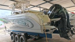 
										PROMARINE OPEN 33 full									