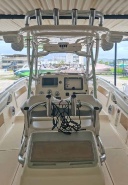 
										PROMARINE OPEN 33 full									