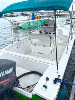 RALLY SPORT 21