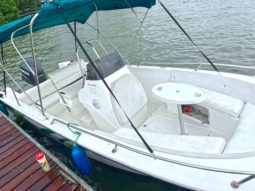 
										RALLY SPORT 21 full									