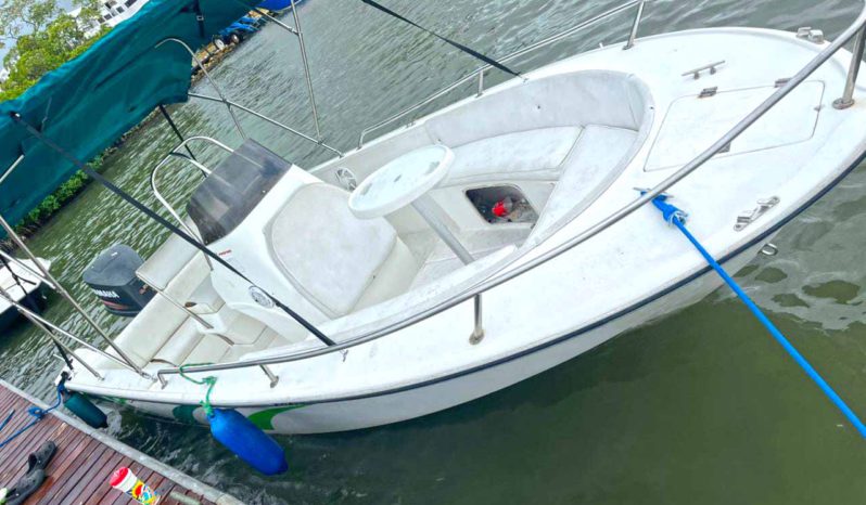 
								RALLY SPORT 21 full									