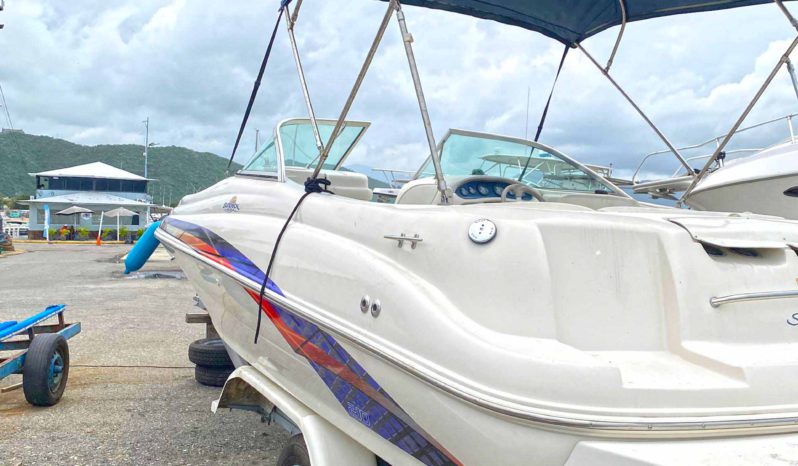 
								SEA RAY 210SD SUN DECK 21 full									
