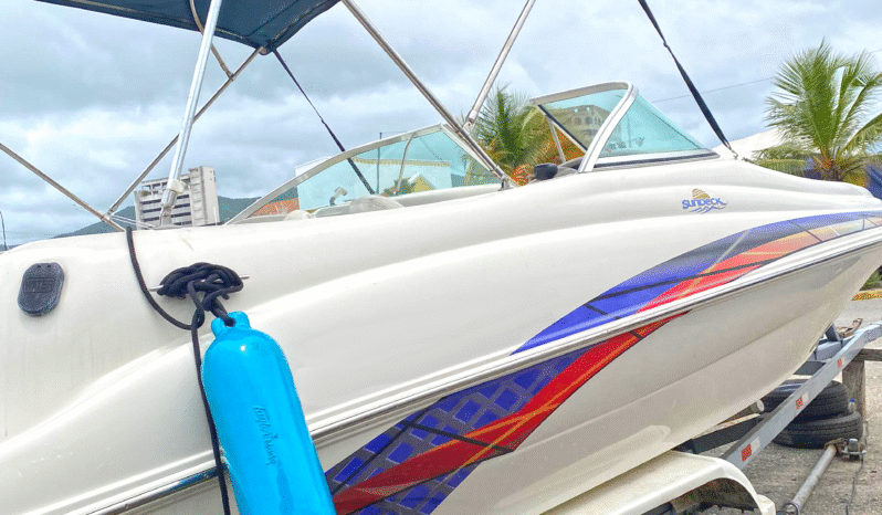 
								SEA RAY 210SD SUN DECK 21 full									