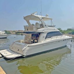 SEA RAY SEDAN BRIDGE 48