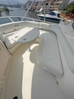 SEA RAY SEDAN BRIDGE 48