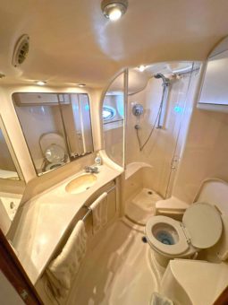 
										SEA RAY SEDAN BRIDGE 48 full									