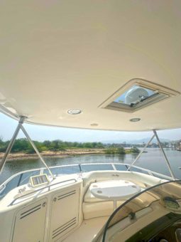 SEA RAY SEDAN BRIDGE 48
