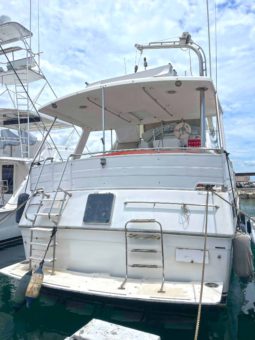 
										TAIWANES HI-STAR 42 full									