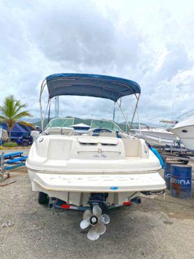 SEA RAY 210SD SUN DECK 21
