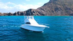 
										LUHRS CONVERTIBLE 35 full									
