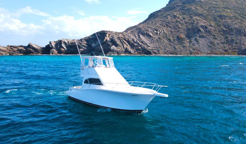 
								LUHRS CONVERTIBLE 35 full									