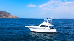 
										LUHRS CONVERTIBLE 35 full									