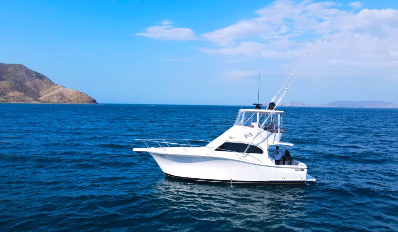 
								LUHRS CONVERTIBLE 35 full									