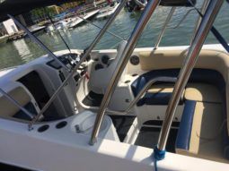 
										BLACK JACK 31 full									