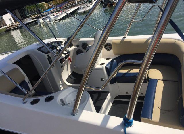 
								BLACK JACK 31 full									
