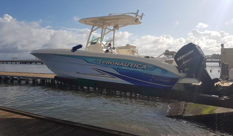 
								PROMARINE 24 full									