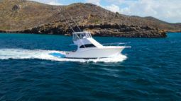 
										LUHRS CONVERTIBLE 35 full									