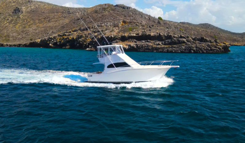
								LUHRS CONVERTIBLE 35 full									