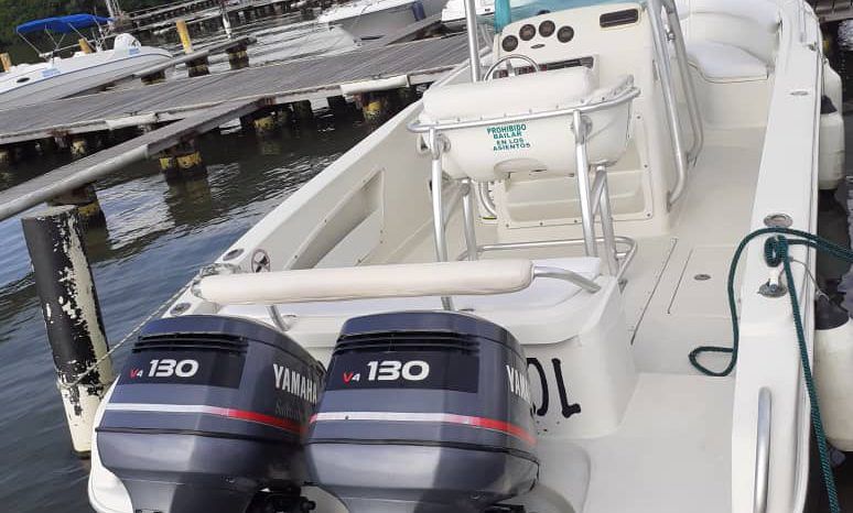 PROMARINE OPEN 24 full