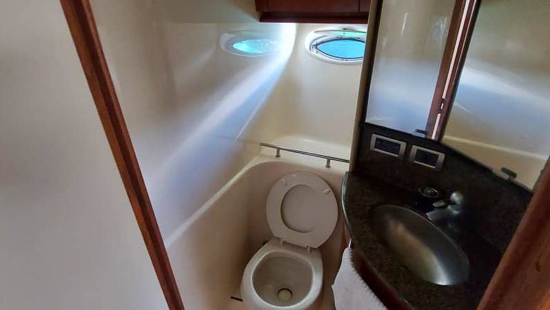 SEA RAY SUNDANCER 44 full