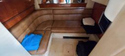 SEA RAY SUNDANCER 44 full