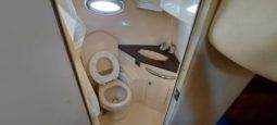 SEA RAY SUNDANCER 44 full