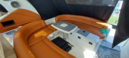 SEA RAY SUNDANCER 44 full