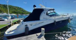 SEA RAY SUNDANCER 44 full