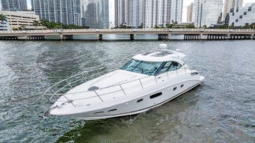 
										SEA RAY SUNDANCER 43 full									