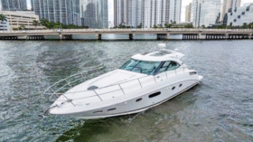 SEA RAY SUNDANCER 43