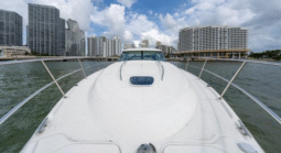 
										SEA RAY SUNDANCER 43 full									