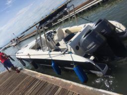 
										BLACK JACK 31 full									