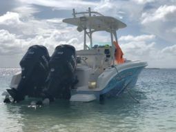 
										PROMARINE 24 full									