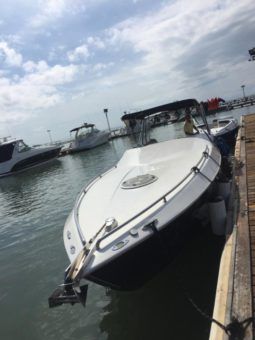 
										BLACK JACK 31 full									