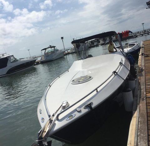
								BLACK JACK 31 full									