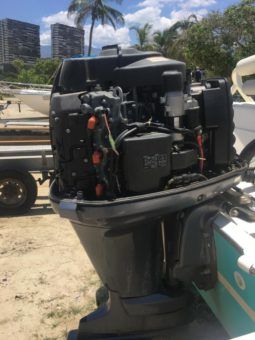 
										PROMARINE OPEN  21 full									