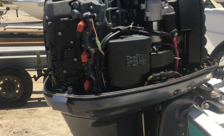 
								PROMARINE OPEN  21 full									