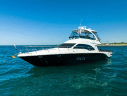 
										SEA RAY SEDAN BRIDGE 52 full									