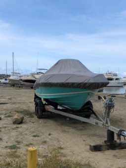 
										PROMARINE OPEN  21 full									