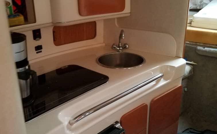 
								SEA RAY 290 31 full									