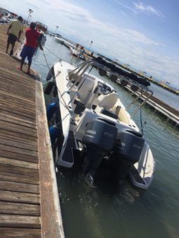 
										BLACK JACK 31 full									