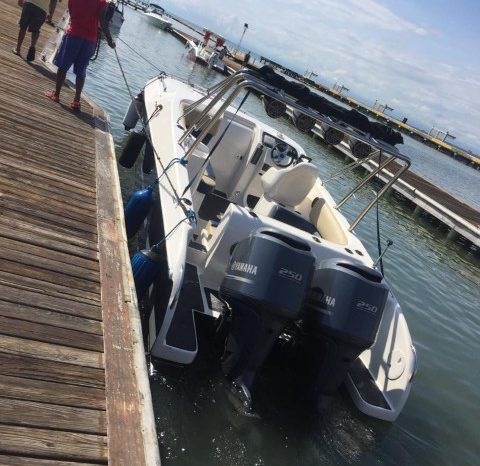 
								BLACK JACK 31 full									