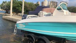 
										PROMARINE OPEN  21 full									