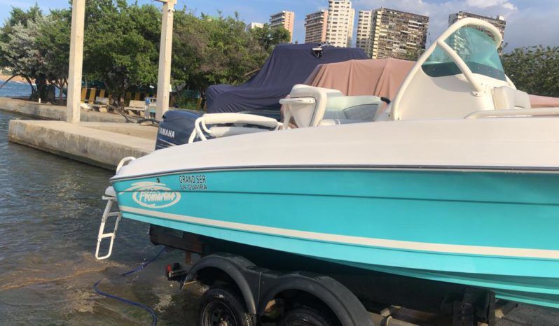 
								PROMARINE OPEN  21 full									