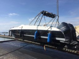 
										BLACK JACK 31 full									