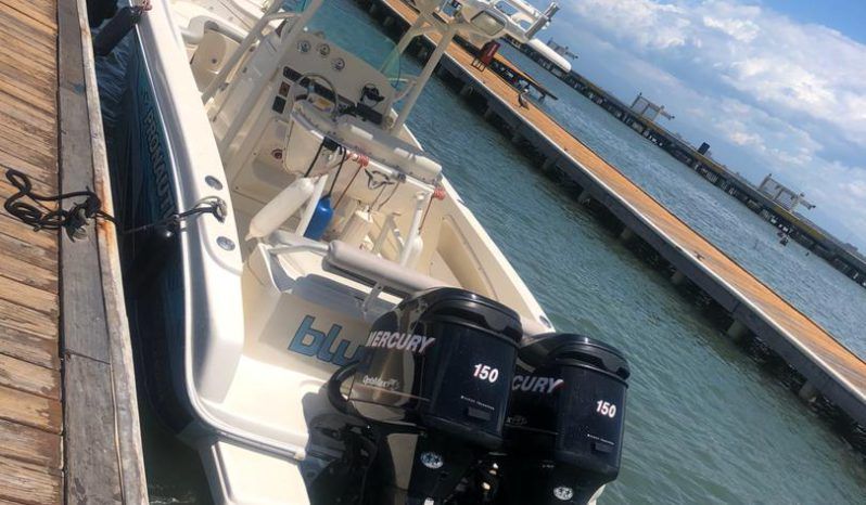 
								PROMARINE 24 full									